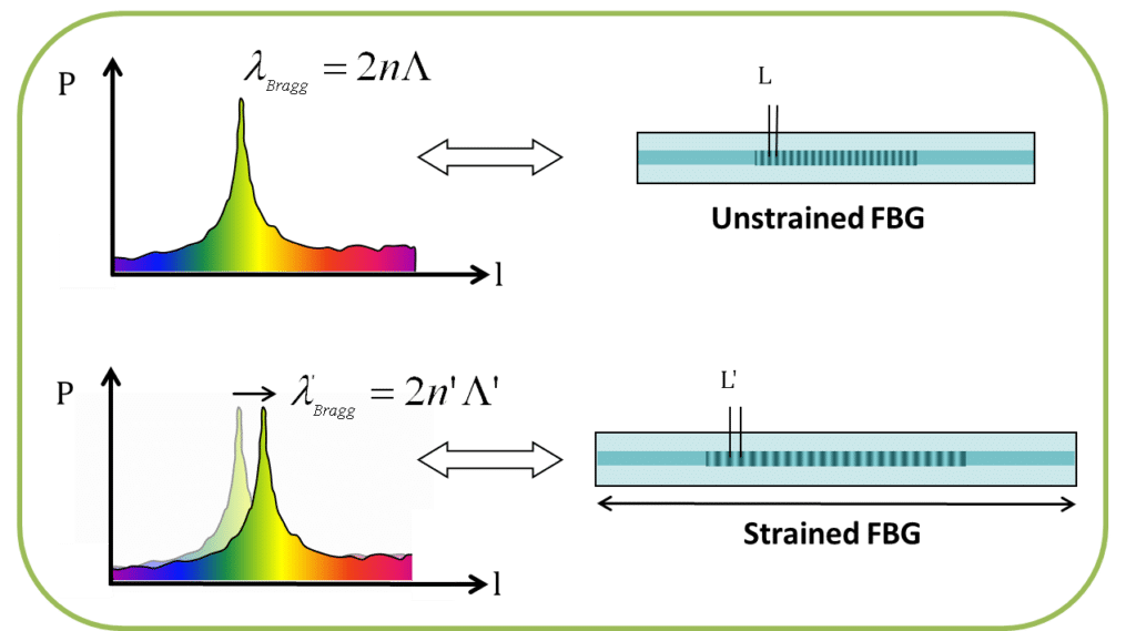 Fbg Principle Fbgs